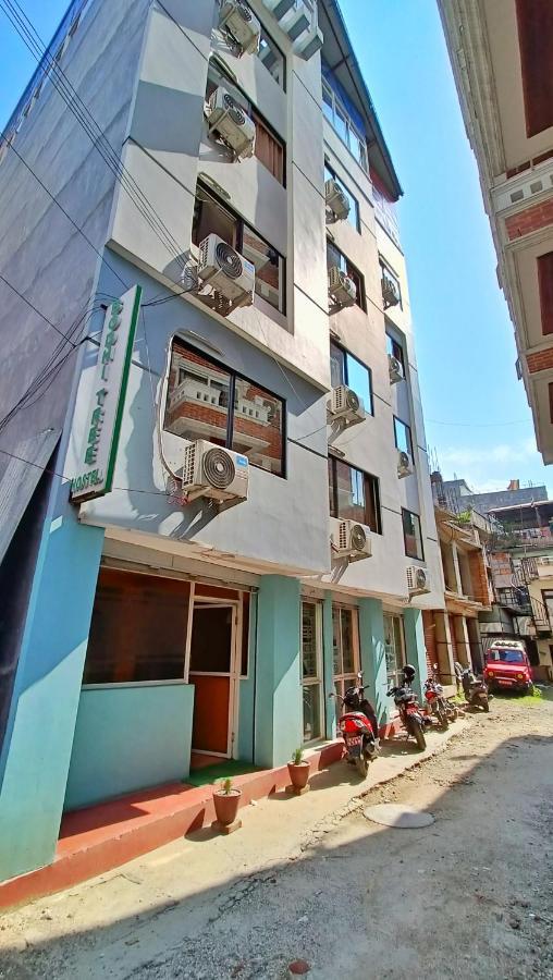 Bodhi Tree Hostel Kathmandu Exterior photo
